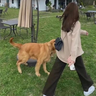 四维超正方体